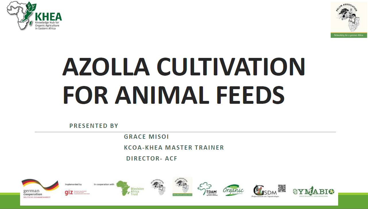 AZOLLA CULTIVATION FOR ANIMAL FEEDS