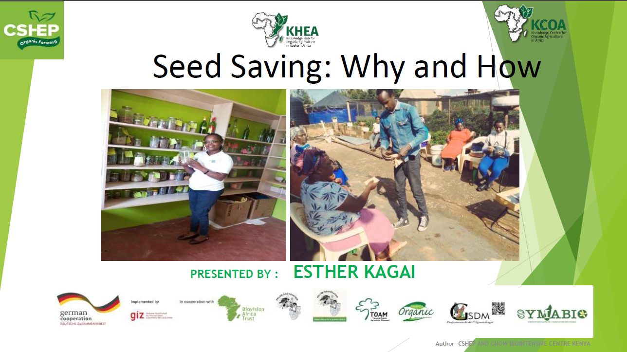 SEED SAVING