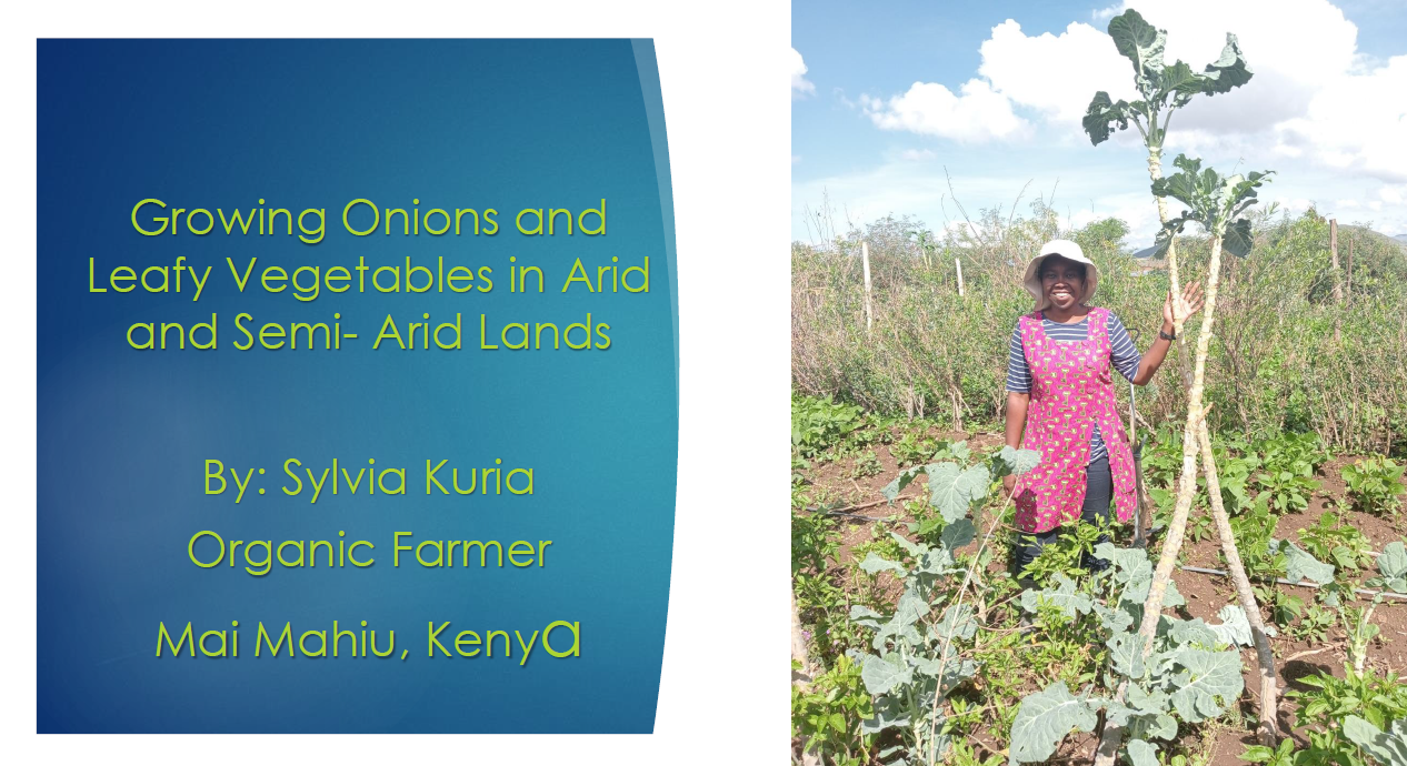 Growing Onions and Leafy Vegetables in ASALS