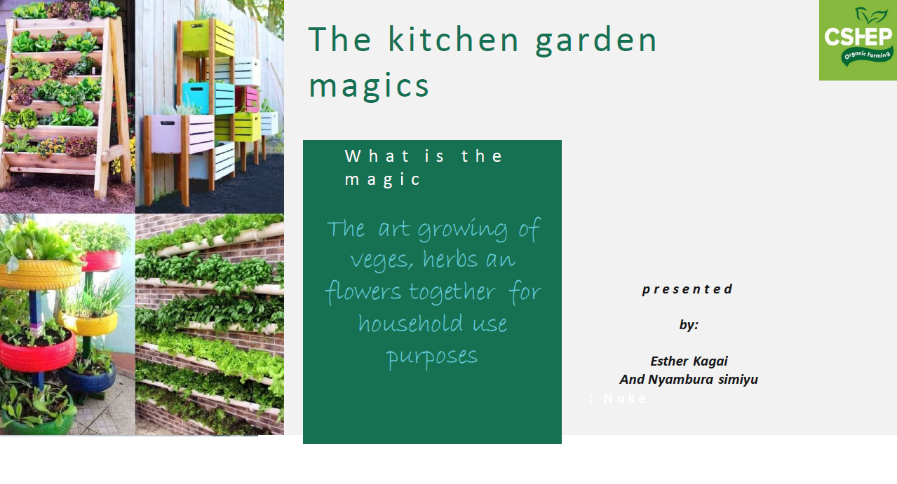 Magics of Kitchen Garden